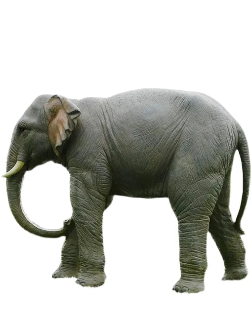 Fiberglass Elephant Sculptures