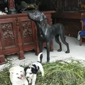 Bronze Labrador Sculpture