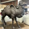 Bronze Camel Statue