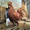 Giant Metal Rooster Statue For Garden Lawn