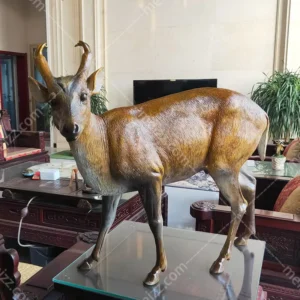 Bronze Antelope Sculpture