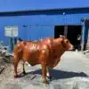 Fiberglass Life Size Bull Sculpture | Realistic Animal Statue