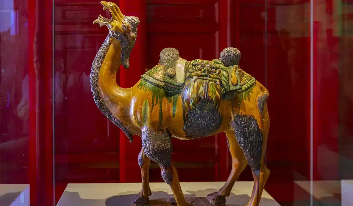 Tang Dynasty sancai (three-color glazed) camel