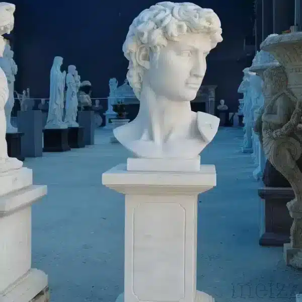 Marble Bust of David