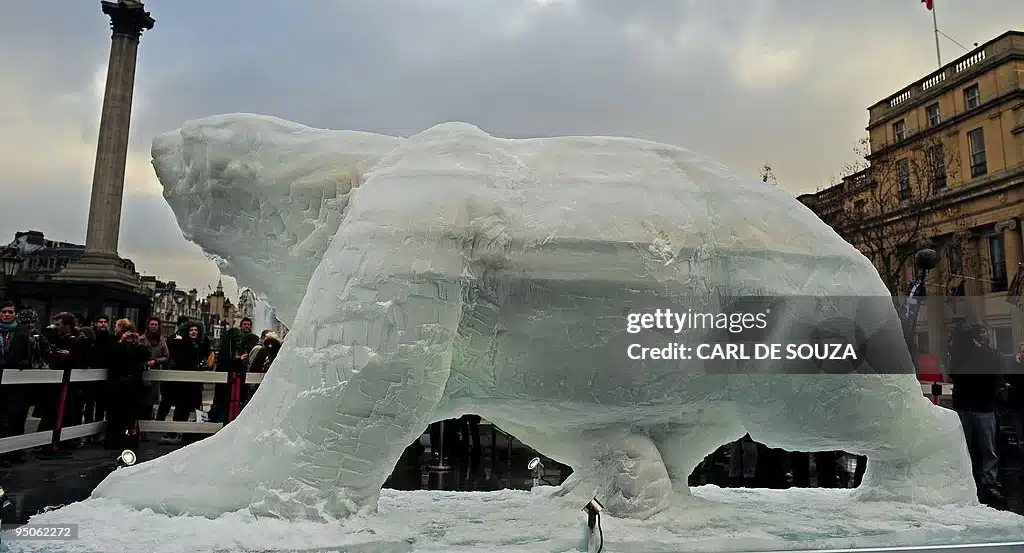 Mark Coreth — Ice Bear