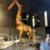 Life Size Giraffe Statue for Outdoor Garden – Large Bronze Animal Sculpture