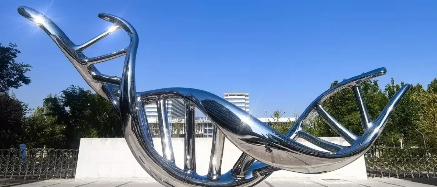 Outdoor stainless steel abstract sculptures