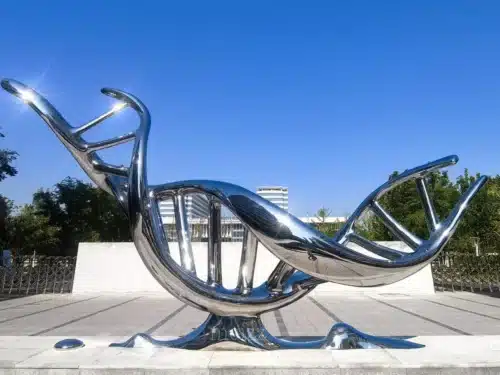 Outdoor stainless steel abstract sculptures