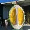 Giant Fiberglass Durian Sculpture