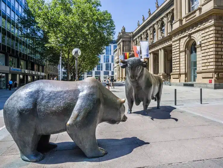 Bull and Bear