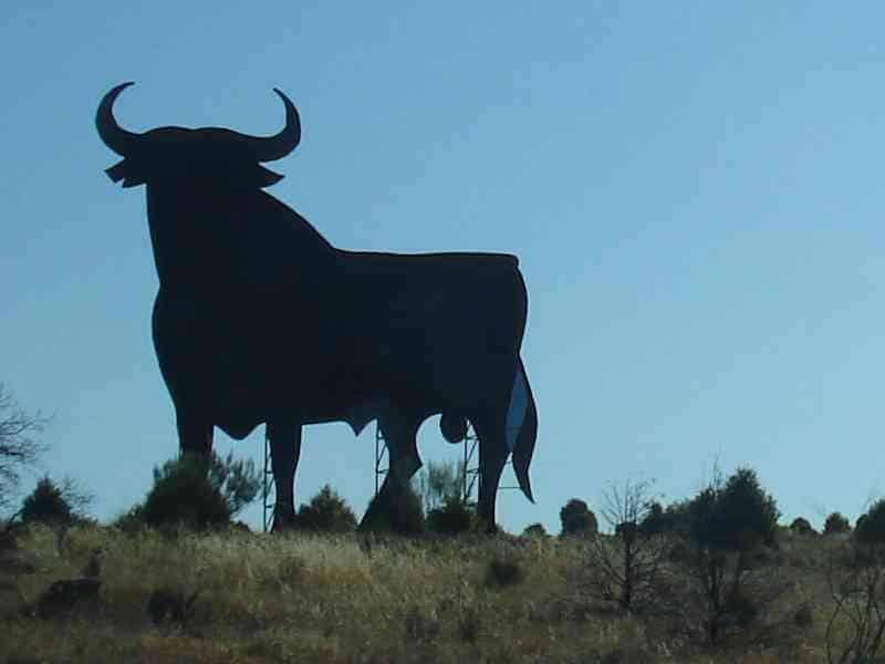 The Osborne Bull