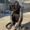 Bronze Monkey Statue for Garden – Realistic Outdoor Animal Sculpture